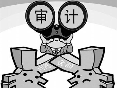 什么是財(cái)稅審計(jì) 什么是財(cái)稅審計(jì)