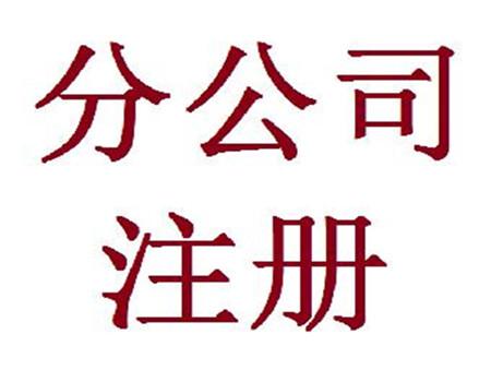 分公司代辦注冊(cè)準(zhǔn)備材料及流程和注意事項(xiàng) 分公司代辦注冊(cè)準(zhǔn)備材料及流程和注意事項(xiàng)