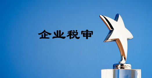 稅審-大通天成 稅審-大通天成