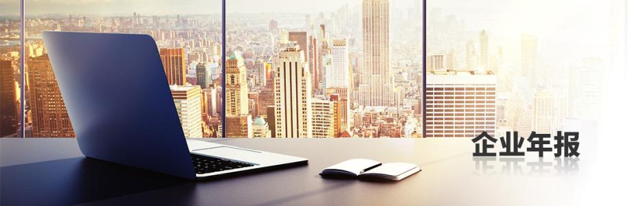 增值電信業(yè)務(wù)許可證年報