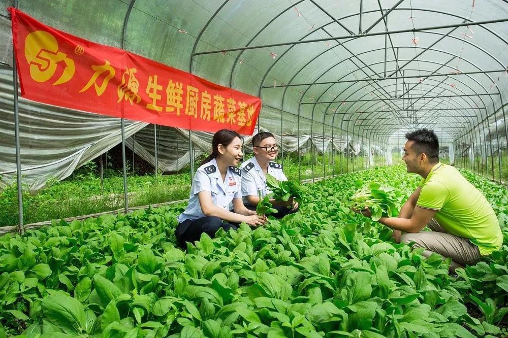 減稅降費(fèi)政策措施落地實(shí)施 減稅降費(fèi)政策措施落地實(shí)施