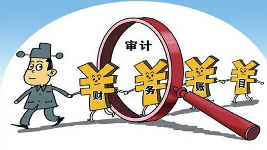 稅務(wù)審計(jì)和財(cái)務(wù)審計(jì)有什么區(qū)別? 稅務(wù)審計(jì)和財(cái)務(wù)審計(jì)有什么區(qū)別?