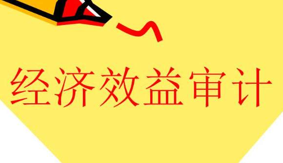 什么是經(jīng)濟(jì)效益審計(jì)，有何特點(diǎn)？