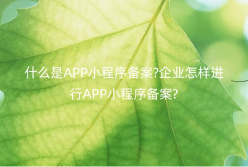 什么是APP小程序備案?企業(yè)怎樣進行APP小程序備案? 什么是APP小程序備案?企業(yè)怎樣進行APP小程序備案?