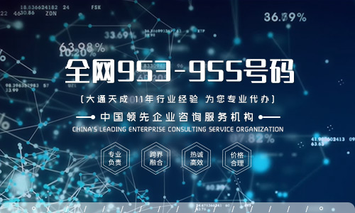 如何申請(qǐng)95開(kāi)頭的號(hào)碼，企業(yè)所需條件及流程詳解